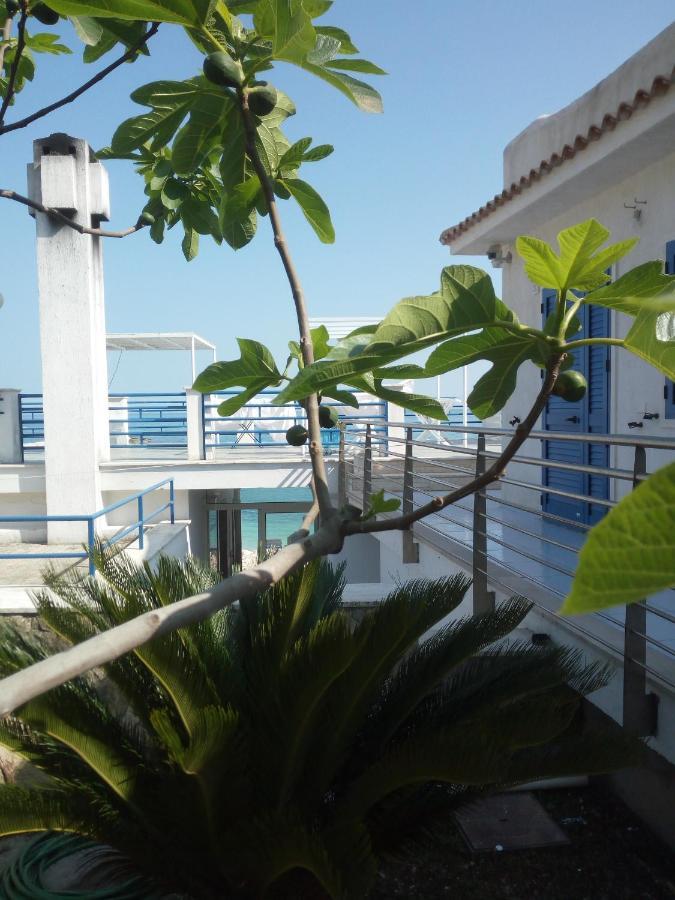 B&B Conca Del Faro Mattinata Exteriér fotografie